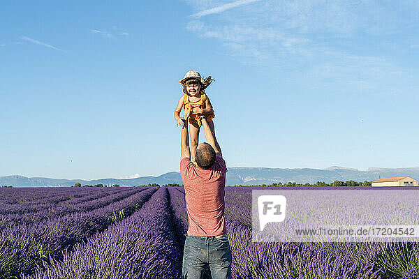 Vater hält seine kleine Tochter in einem weiten Lavendelfeld im Sommer hoch