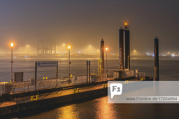 Germany  Hamburg  Angler fish market in fog at night