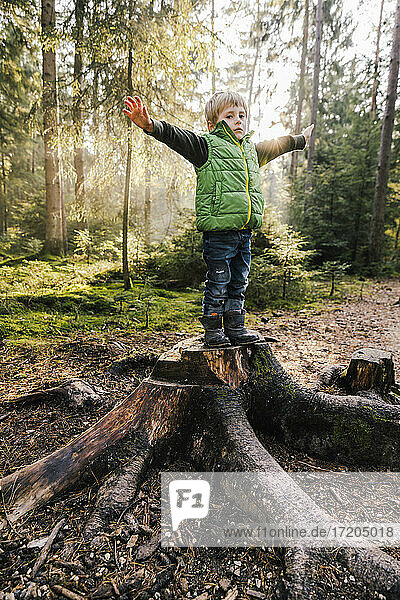 Junge mit ausgestreckten Armen auf einem Baumstumpf im Wald stehend