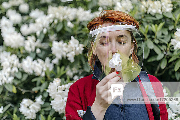 Rothaarige Frau mit Gesichtsschutz  die während der COVID-19 an einer Blume riecht
