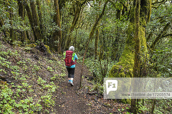 Senior woman hiking along footpath in Garajonay National Park