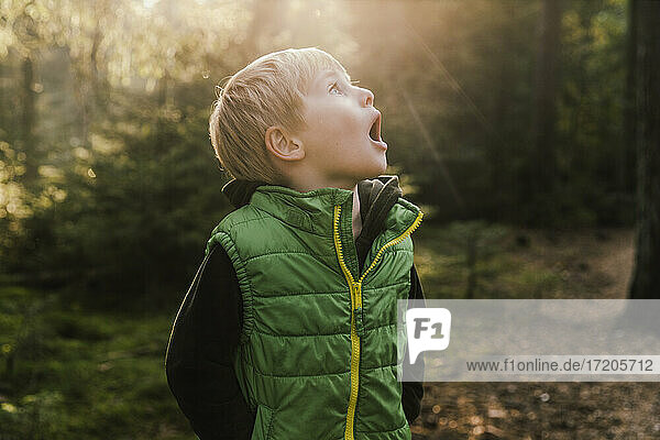 Surprised boy with hands in pockets looking up in forest