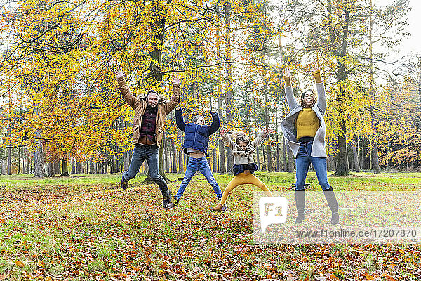 Playful family with hand raised jumping together in forest