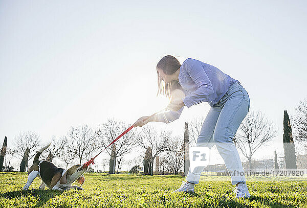Woman pulling leash from dog while standing on grass