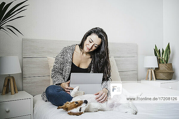 Lächelnde Frau mit Laptop  die einen Jack Russell Terrier streichelt  während sie zu Hause auf dem Bett sitzt