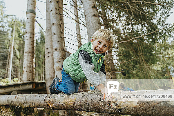 Verspielter Junge krabbelt auf einem Baumstamm im Wald im Salzburger Land  Österreich