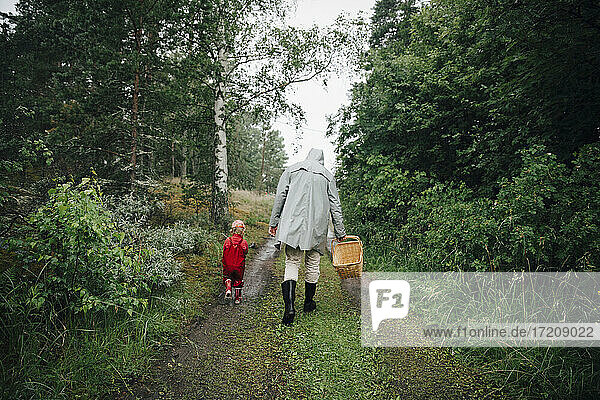 Rear view of father and son walking in forest