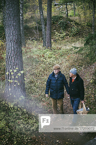 Homosexual couple looking away while walking in forest