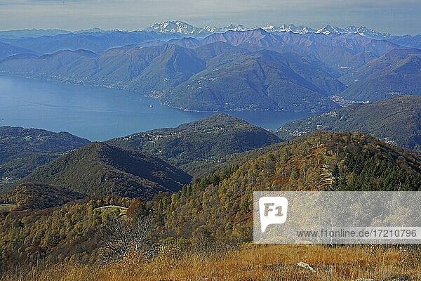 Ausblick von Monte Lema auf den Lago Maggiore mit dem Monte Rosa Massiv in der Ferne  Luino  Lombardei  Italien  Tessin  Schweiz  Europa