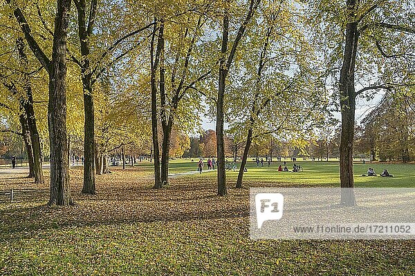 Herbststimmung mit Spaziergängern im Englischen Garten  Schwabing  München  Oberbayern  Bayern  Deutschland  Europa