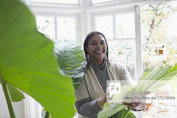 Porträt glückliche Frau Reinigung Pflanze Blätter zu Hause