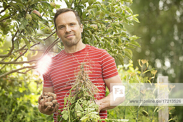 Portrait confident man harvesting vegetables in summer garden