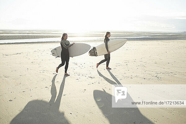 Young female surfers with surfboards on sunny summer beach