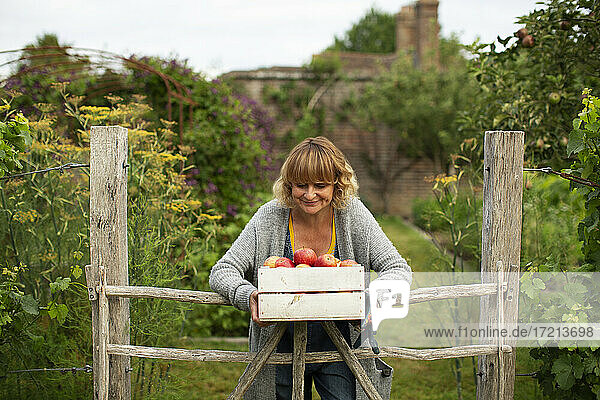 Porträt lächelnde Frau mit Kiste mit geernteten Äpfeln im Garten