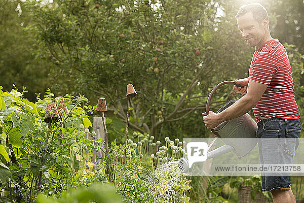 Mann bewässert Pflanzen im üppigen Sommergarten