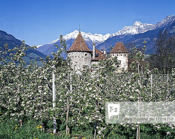 South Tyrol; Province of Bolzano; landscape;Burgraviato  Merano  maia alta  castello  castel Planta| South Tyrol; Alto Adige; landscape;Burgraviato  Merano  maia alta  castello  castel Planta