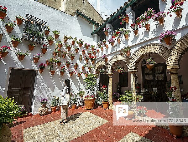 Young woman standing in a courtyard decorated with flowers  geraniums in flower pots on the house wall  Fiesta de los Patios  Córdoba  Andalusia  Spain  Europe