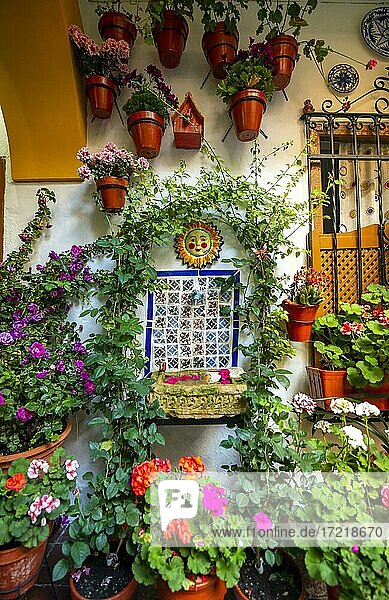 Brunnen im mit Blumen geschmückten Innenhof  Geranien in Blumentöpfen an der Hauswand  Fiesta de los Patios  Córdoba  Andalusien  Spanien  Europa