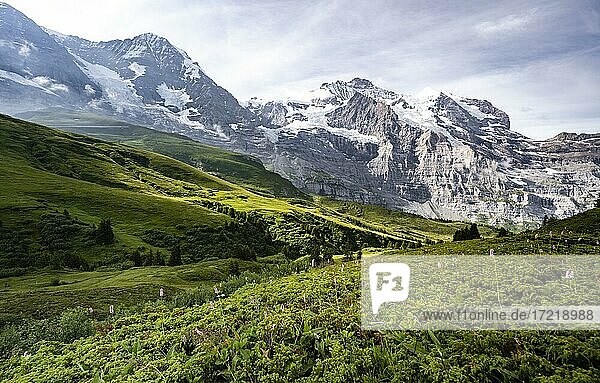 Eiger Nordwand  Steilwand und Berge  Jungfrauregion  Lauterbrunnen  Berner Alpen  Schweiz  Europa