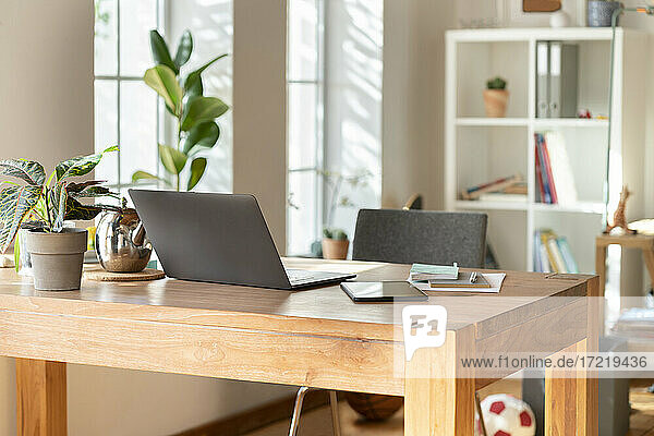 Interieur eines modernen Wohnzimmers mit Laptop und Topfpflanze auf dem Tisch zu Hause