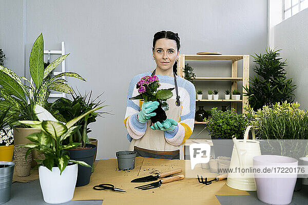 Gärtnerin  die eine Pflanze hält  während sie an einem Tisch in einer Werkstatt steht