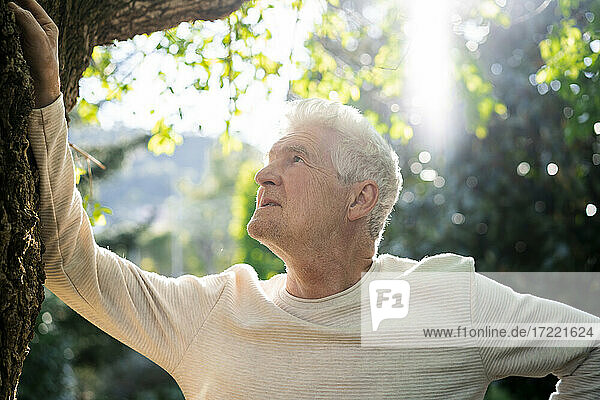 Älterer Mann in der Natur stehend  an einen Baum gelehnt