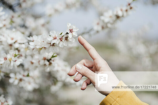 Frau berührt mit dem Finger eine Blume im Frühling
