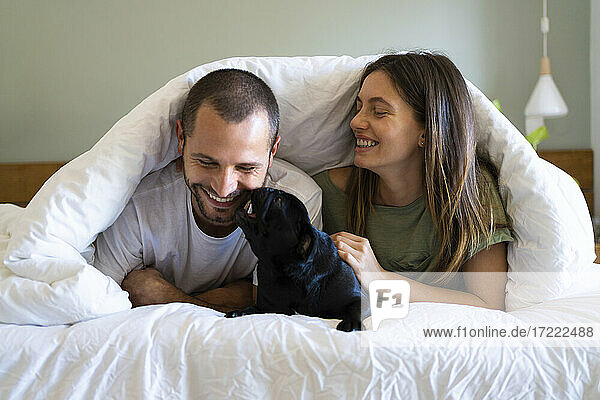 Junges glückliches Paar spielt mit Mops Hund auf dem Bett zu Hause
