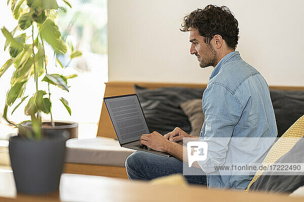 Concentrated male freelance worker sitting on couch with laptop at home