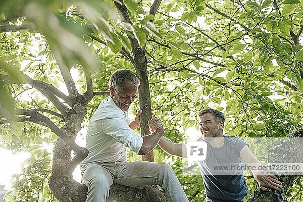 Son climbing tree while holding father's hand during sunny day
