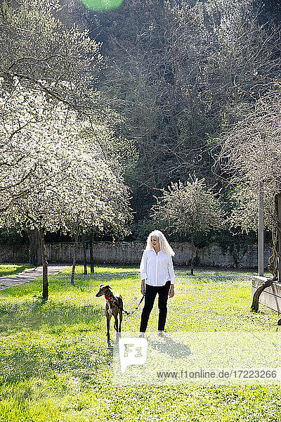 Mature woman walking with dog in park