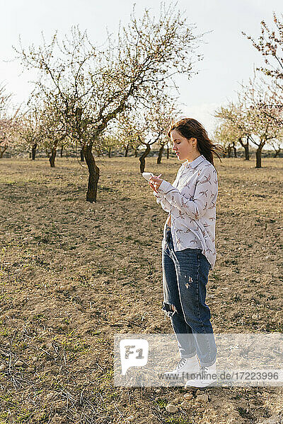Woman drawing in notepad while standing at almond trees