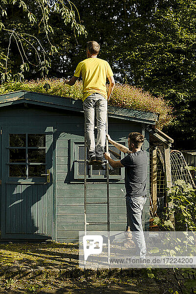 Father standing on ladder being supported by son in front of house