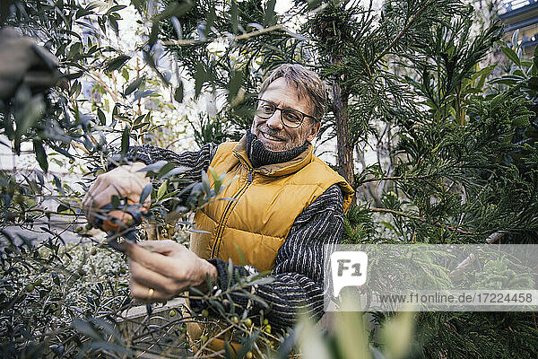 Porträt eines lächelnden reifen Mannes  der einen Olivenbaum beschneidet