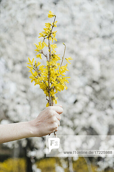 Frau hält einen Strauß gelber Blumen vor einem Mandelbaum