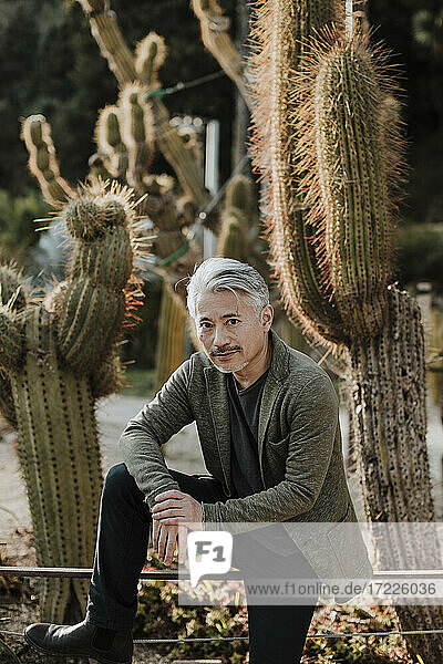 Grauhaariger Mann sitzt auf einem Geländer vor Kaktuspflanzen