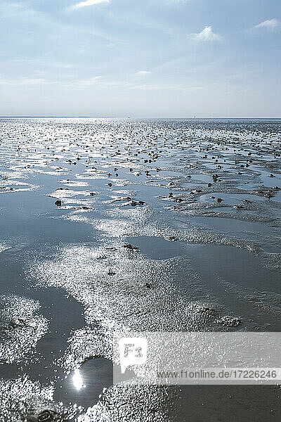 Denmark  Romo  Low tide mud flat