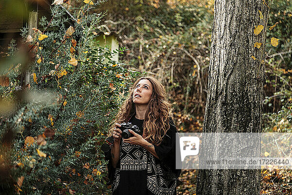 Mittlere erwachsene Frau schaut nach oben  während sie die Kamera an einem Baumstamm im Wald hält