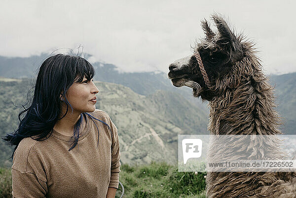 Frau mit Pony schaut Alpaka an