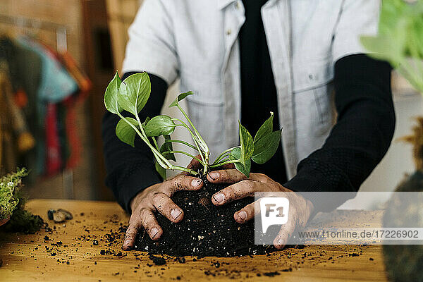 Hände eines Mannes bei der Vorbereitung einer Kokedama-Pflanze auf einem Tisch zu Hause