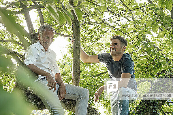 Father sitting on tree by son looking away during sunny day