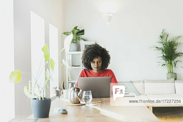 Junge Frau  die zu Hause sitzend am Laptop arbeitet