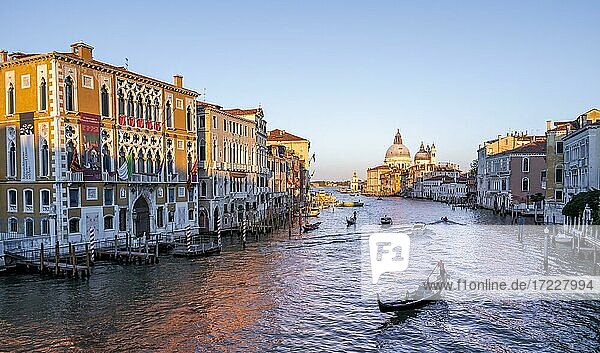 Evening atmosphere  view from the Ponte dell'Accademia to the Grand Canal with gondola  Basilica Santa Maria della Salute  Venice  Veneto  Italy  Europe