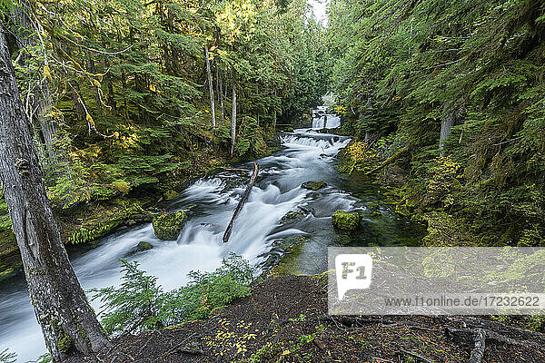 Sahalie Falls im Herbst  McKenzie Bridge  Lane county  Oregon  Vereinigte Staaten von Amerika  Nordamerika