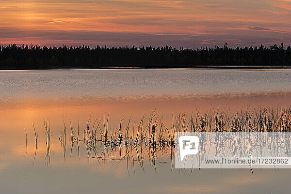 See Toras-Sieppi bei Sonnenuntergang  Torassieppi  Muonio  Lappland  Finnland  Europa