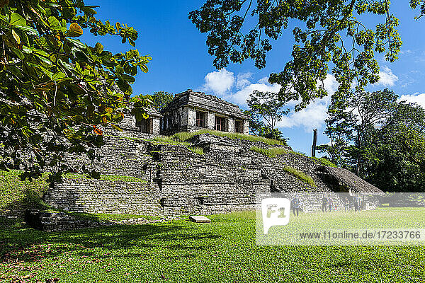 Die Maya-Ruinen von Palenque  UNESCO-Weltkulturerbe  Chiapas  Mexiko  Nordamerika