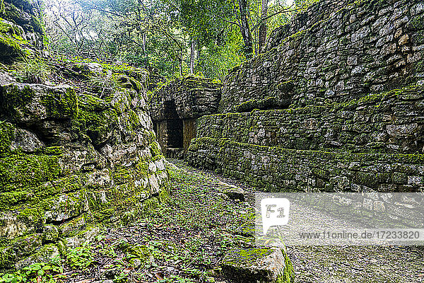 Archaeological Maya site of Yaxchilan in the jungle of Chiapas  Mexico  North America