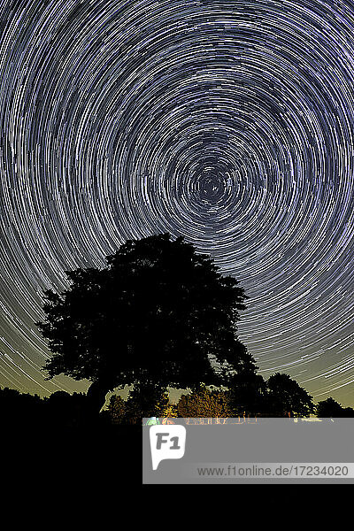 Zirkumpolarer Sternenweg mit einer Baumsilhouette und einem Lagerfeuer im Hintergrund  Emilia Romagna  Italien  Europa