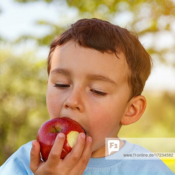 Kind kleiner Junge isst Apfel Frucht essen Portrait draußen Frühling,  Deutschland,  Europa
