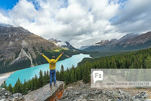 Hiker stretches his arms in the air  view of turquoise glacial lake surrounded by forest  Peyto Lake  Rocky Mountains  Banff National Park  Alberta Province  Canada  North America
